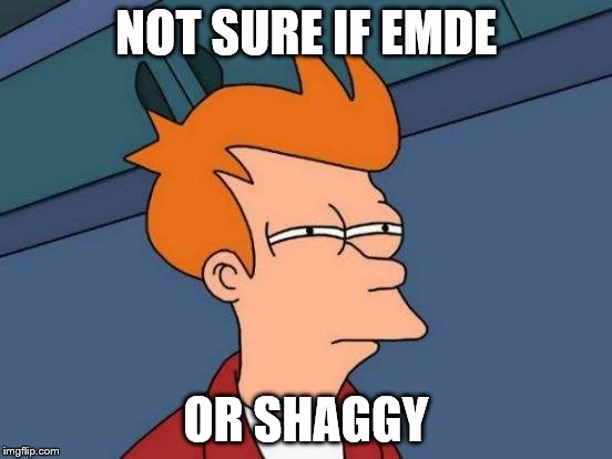 Futurama Fry Meme | NOT SURE IF EMDE OR SHAGGY | image tagged in memes,futurama fry | made w/ Imgflip meme maker