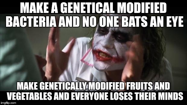 And everybody loses their minds Meme | MAKE A GENETICAL MODIFIED BACTERIA AND NO ONE BATS AN EYE; MAKE GENETICALLY MODIFIED FRUITS AND  VEGETABLES AND EVERYONE LOSES THEIR MINDS | image tagged in memes,and everybody loses their minds,AdviceAnimals | made w/ Imgflip meme maker