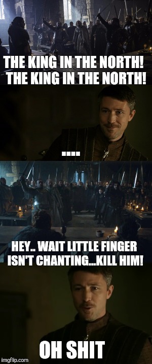 KING IN THE NORTH! | THE KING IN THE NORTH! 
THE KING IN THE NORTH! .... HEY.. WAIT LITTLE FINGER ISN'T CHANTING...KILL HIM! OH SHIT | image tagged in game of thrones | made w/ Imgflip meme maker