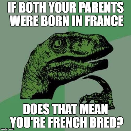Philosoraptor | IF BOTH YOUR PARENTS WERE BORN IN FRANCE; DOES THAT MEAN YOU'RE FRENCH BRED? | image tagged in memes,philosoraptor | made w/ Imgflip meme maker