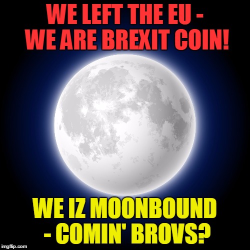 WE LEFT THE EU - WE ARE BREXIT COIN! WE IZ MOONBOUND - COMIN' BROVS? | image tagged in brexit to the moon | made w/ Imgflip meme maker