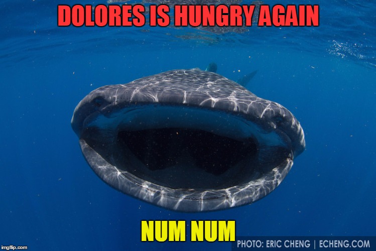 DOLORES IS HUNGRY AGAIN; NUM NUM | made w/ Imgflip meme maker