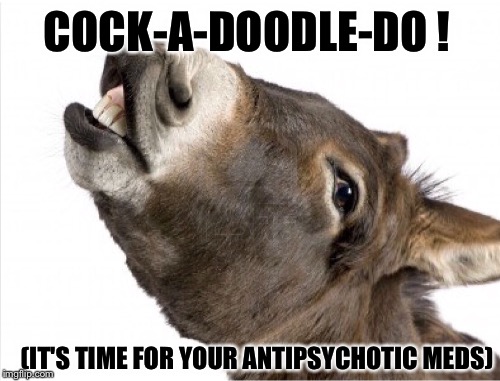 Wake Up | COCK-A-DOODLE-DO ! (IT'S TIME FOR YOUR ANTIPSYCHOTIC MEDS) | image tagged in jackass | made w/ Imgflip meme maker