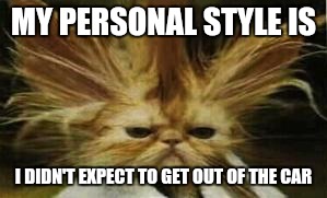 Bad Hair Day Cat | MY PERSONAL STYLE IS; I DIDN'T EXPECT TO GET OUT OF THE CAR | image tagged in bad hair day cat | made w/ Imgflip meme maker