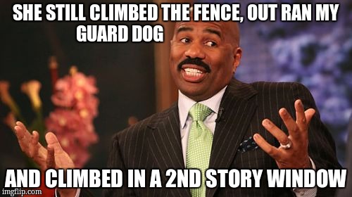SHE STILL CLIMBED THE FENCE, OUT RAN MY GUARD DOG AND CLIMBED IN A 2ND STORY WINDOW | image tagged in memes,steve harvey | made w/ Imgflip meme maker
