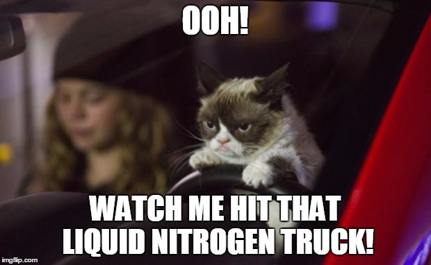 Hasta La Vista, Baby! |  OOH! WATCH ME HIT THAT LIQUID NITROGEN TRUCK! | image tagged in grumpy cat driving,memes,grumpy cat,nitrogen,terminator,reference | made w/ Imgflip meme maker