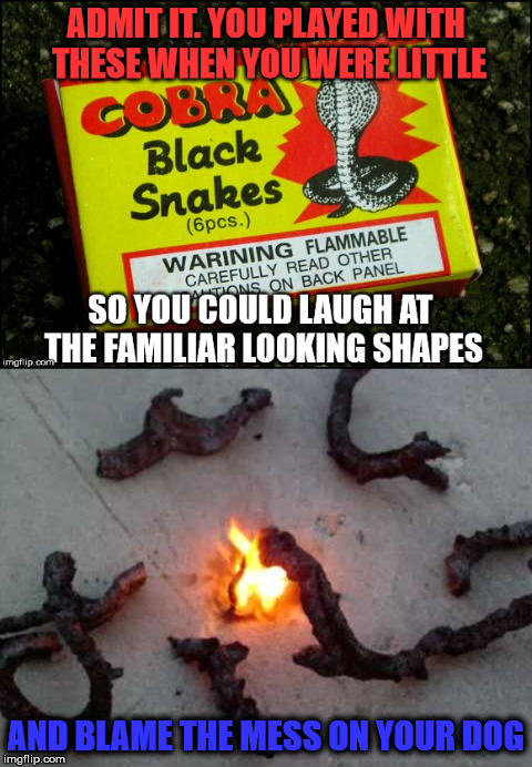The Strangest Of All The Fireworks Inventions |  ADMIT IT. YOU PLAYED WITH THESE WHEN YOU WERE LITTLE; AND BLAME THE MESS ON YOUR DOG | image tagged in funny memes,4th of july | made w/ Imgflip meme maker