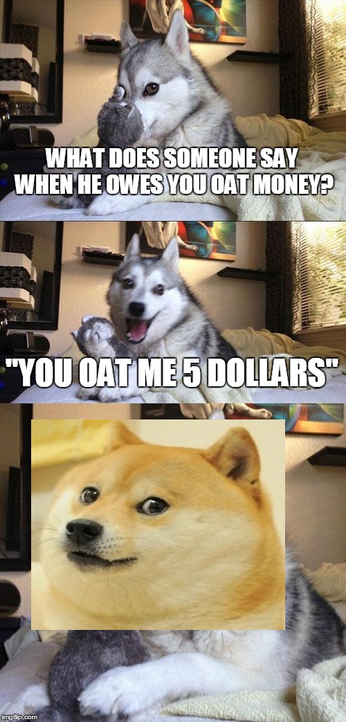 Bad Pun Dog Meme | WHAT DOES SOMEONE SAY WHEN HE OWES YOU OAT MONEY? "YOU OAT ME 5 DOLLARS" | image tagged in memes,bad pun dog | made w/ Imgflip meme maker