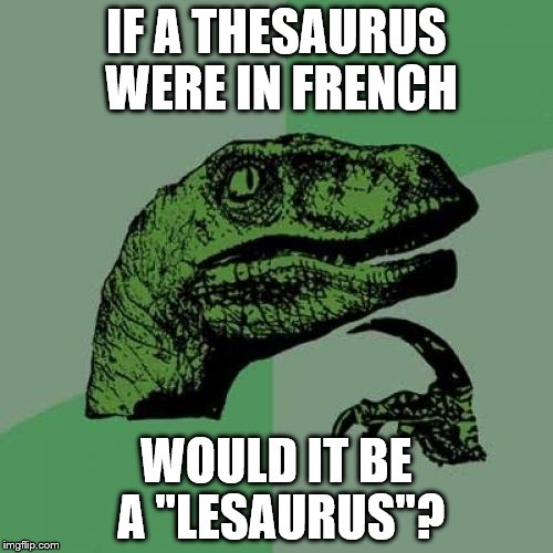 Philosoraptor Meme | IF A THESAURUS WERE IN FRENCH; WOULD IT BE A "LESAURUS"? | image tagged in memes,philosoraptor | made w/ Imgflip meme maker