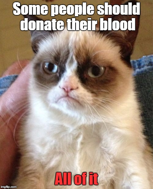 Grumpy Cat | Some people should donate their blood; All of it | image tagged in memes,grumpy cat,trhtimmy | made w/ Imgflip meme maker