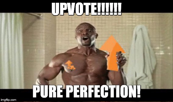 UPVOTE!!!!!! PURE PERFECTION! | made w/ Imgflip meme maker