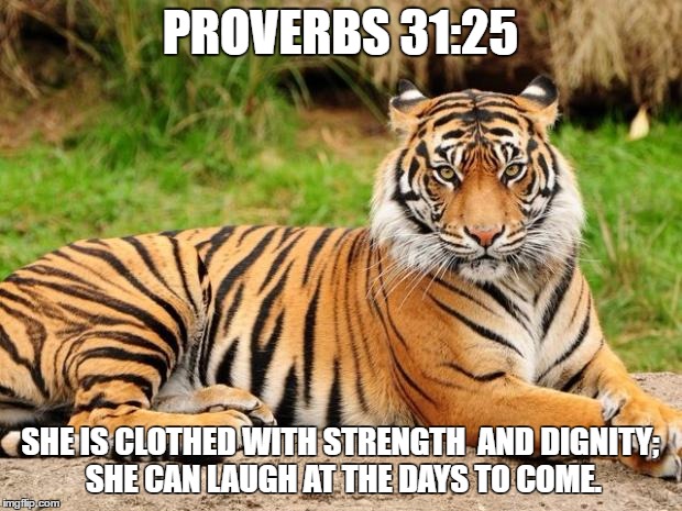 srsly tiger | PROVERBS 31:25; SHE IS CLOTHED WITH STRENGTH  AND DIGNITY; SHE CAN LAUGH AT THE DAYS TO COME. | image tagged in srsly tiger | made w/ Imgflip meme maker