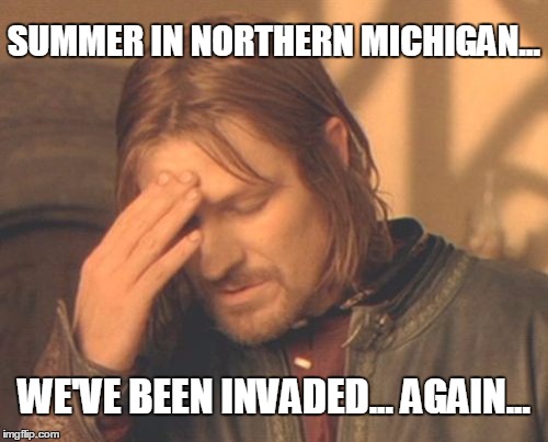 Frustrated Boromir Meme | SUMMER IN NORTHERN MICHIGAN... WE'VE BEEN INVADED... AGAIN... | image tagged in memes,frustrated boromir | made w/ Imgflip meme maker