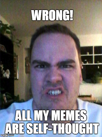 Grrr | WRONG! ALL MY MEMES ARE SELF-THOUGHT | image tagged in grrr | made w/ Imgflip meme maker