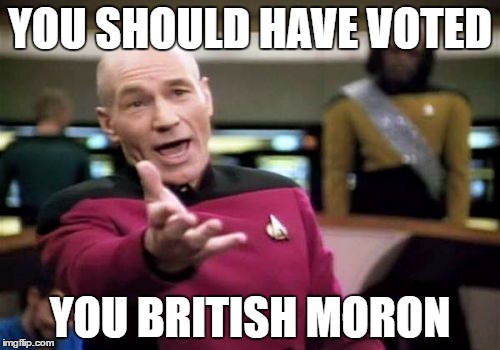 Picard Wtf | YOU SHOULD HAVE VOTED; YOU BRITISH MORON | image tagged in memes,picard wtf | made w/ Imgflip meme maker