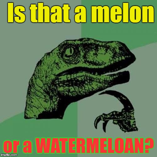 Philosoraptor | Is that a melon; or a WATERMELOAN? | image tagged in memes,philosoraptor | made w/ Imgflip meme maker