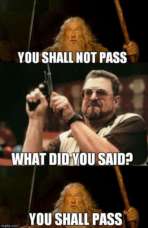 You should pass | YOU SHALL NOT PASS; WHAT DID YOU SAID? YOU SHALL PASS | image tagged in memes,am i the only one around here,gandalf you shall not pass | made w/ Imgflip meme maker