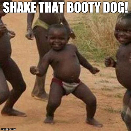 Third World Success Kid | SHAKE THAT BOOTY DOG! | image tagged in memes,third world success kid | made w/ Imgflip meme maker