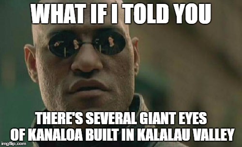 Matrix Morpheus Meme | WHAT IF I TOLD YOU; THERE'S SEVERAL GIANT EYES OF KANALOA
BUILT IN KALALAU VALLEY | image tagged in memes,matrix morpheus | made w/ Imgflip meme maker