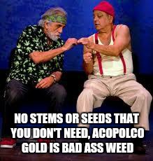 Cheech & Chong | NO STEMS OR SEEDS THAT YOU DON'T NEED, ACOPOLCO GOLD IS BAD ASS WEED | image tagged in cheech  chong | made w/ Imgflip meme maker