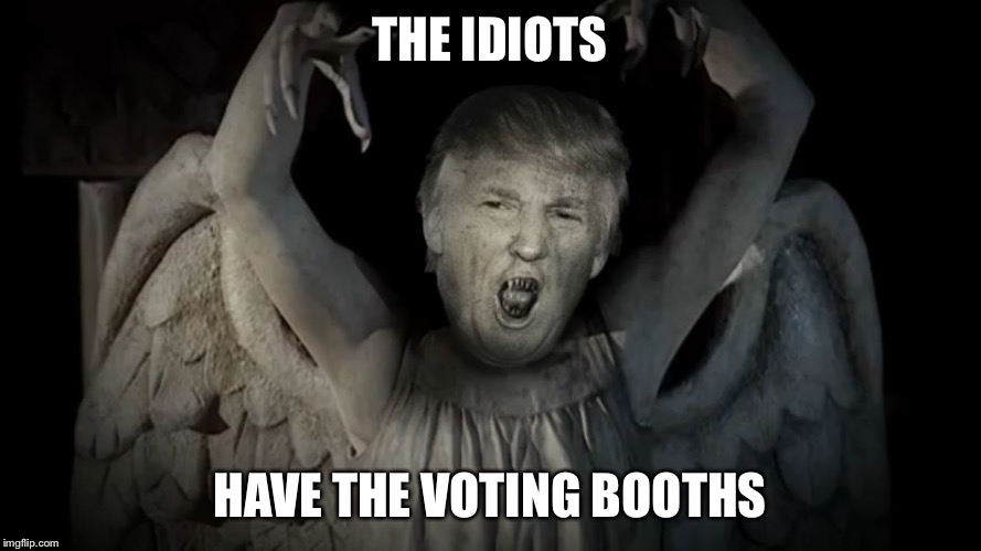 THE IDIOTS; HAVE THE VOTING BOOTHS | image tagged in drumphing angel | made w/ Imgflip meme maker