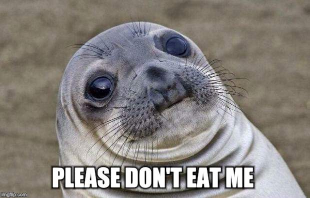 Awkward Moment Sealion Meme | PLEASE DON'T EAT ME | image tagged in memes,awkward moment sealion | made w/ Imgflip meme maker