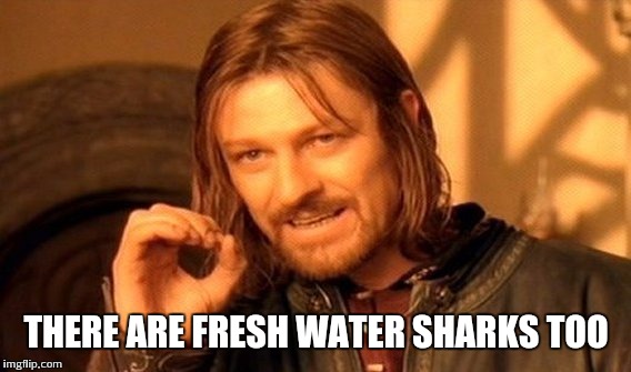 One Does Not Simply Meme | THERE ARE FRESH WATER SHARKS TOO | image tagged in memes,one does not simply | made w/ Imgflip meme maker