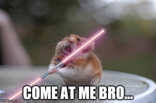 The cat is looking worried... | COME AT ME BRO... | image tagged in memes,star wars,lightsaber,animals,funny animals | made w/ Imgflip meme maker