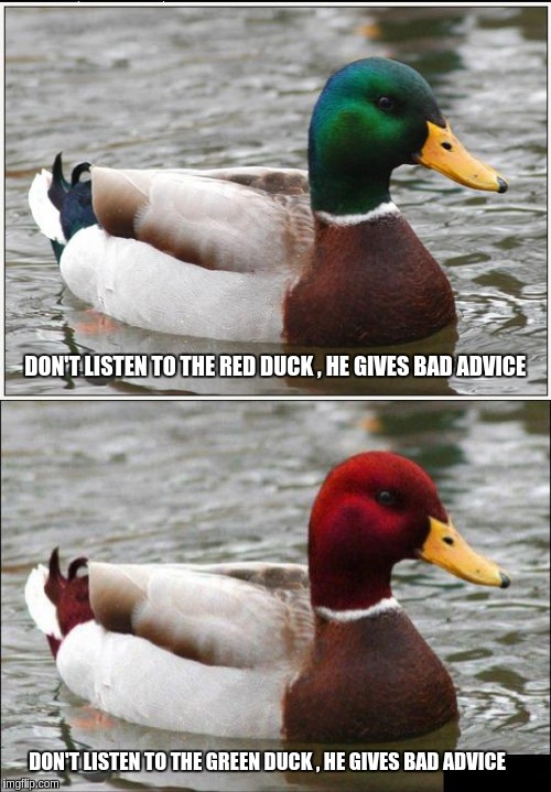 Actual Advice Mallard   | DON'T LISTEN TO THE RED DUCK , HE GIVES BAD ADVICE; DON'T LISTEN TO THE GREEN DUCK , HE GIVES BAD ADVICE | image tagged in actual advice mallard,memes | made w/ Imgflip meme maker