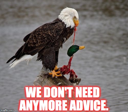 We've had enough of actual advice mallard. | WE DON'T NEED ANYMORE ADVICE. | image tagged in memes,funny,america,actual advice mallard,accurate,imgflip | made w/ Imgflip meme maker