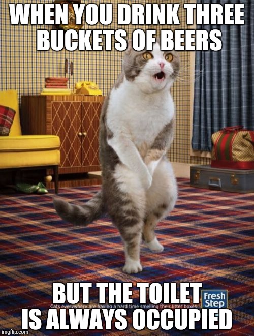 Should I piss on my table....   | WHEN YOU DRINK THREE BUCKETS OF BEERS; BUT THE TOILET IS ALWAYS OCCUPIED | image tagged in memes,gotta go cat | made w/ Imgflip meme maker