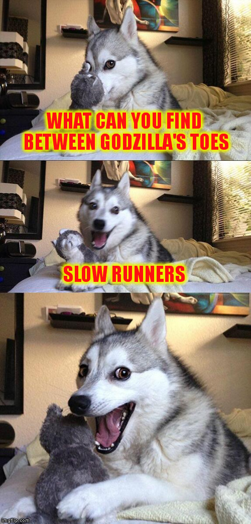 Bad Pun Dog | WHAT CAN YOU FIND BETWEEN GODZILLA'S TOES; SLOW RUNNERS | image tagged in memes,bad pun dog | made w/ Imgflip meme maker