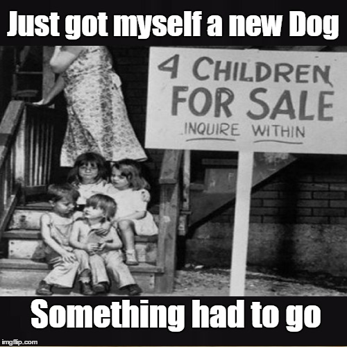 Got Myself a New Dog | Just got myself a new Dog; Something had to go | image tagged in dog,dogs,children,sale,funny memes,horror | made w/ Imgflip meme maker