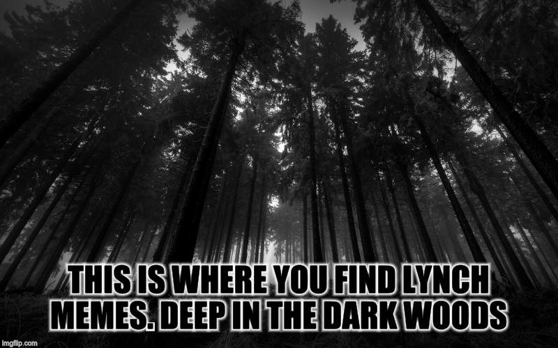 THIS IS WHERE YOU FIND LYNCH MEMES. DEEP IN THE DARK WOODS | made w/ Imgflip meme maker