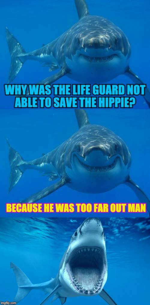 Bad Shark Pun  | WHY WAS THE LIFE GUARD NOT ABLE TO SAVE THE HIPPIE? BECAUSE HE WAS TOO FAR OUT MAN | image tagged in bad shark pun,shark week,funny meme,hippie,save me,beach | made w/ Imgflip meme maker
