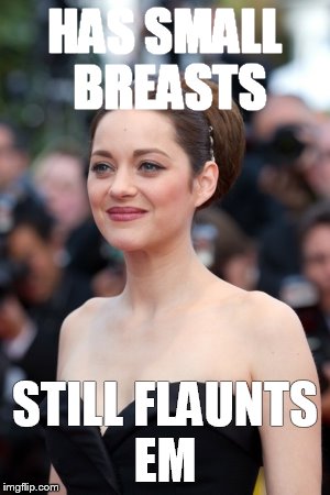 actress with small breasts  | HAS SMALL BREASTS; STILL FLAUNTS EM | image tagged in actress,small,breasts,funny memes,hollywood | made w/ Imgflip meme maker