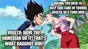 Still a better love story than Twilight | BULMA: YOU NEED TO HELP TAKE CARE OF TRUNKS VEGETA, HE'S YOUR SON! VEGETA: HAVE THE NAMEKIAN DO IT! THAT'S WHAT KAKAROT DID!! | image tagged in vegeta,bulma,dragon ball super | made w/ Imgflip meme maker
