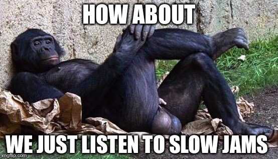 HOW ABOUT WE JUST LISTEN TO SLOW JAMS | made w/ Imgflip meme maker