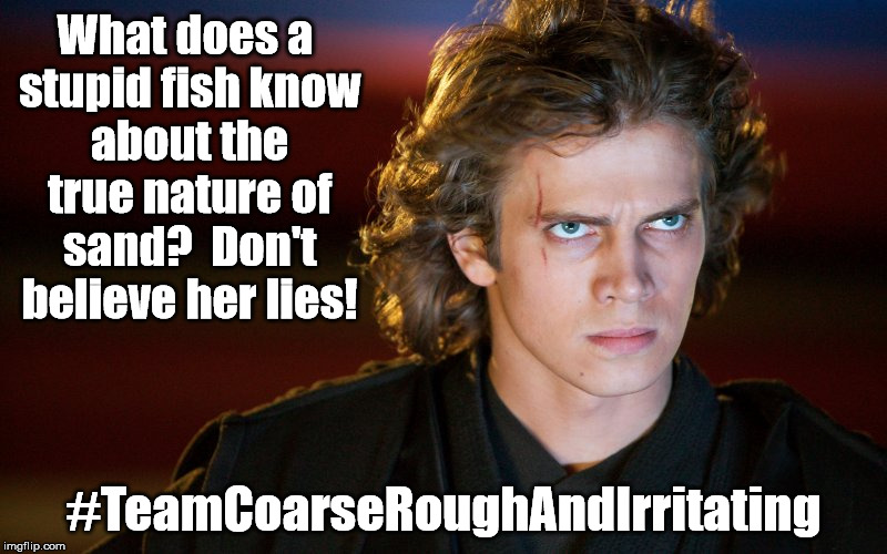 Anakin vs. Dory (#TeamCoarseRoughAndIrritating) | What does a stupid fish know about the true nature of sand?  Don't believe her lies! #TeamCoarseRoughAndIrritating | image tagged in star wars,finding dory,sand | made w/ Imgflip meme maker