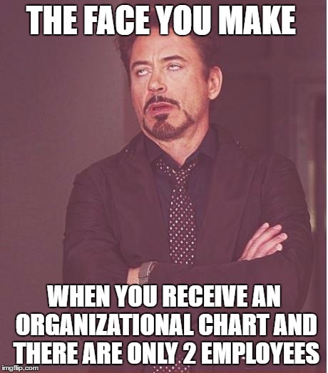 Me.... then you.   | THE FACE YOU MAKE; WHEN YOU RECEIVE AN ORGANIZATIONAL CHART AND THERE ARE ONLY 2 EMPLOYEES | image tagged in memes,face you make robert downey jr | made w/ Imgflip meme maker