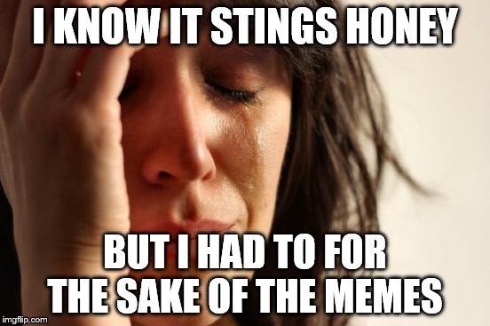 First World Problems Meme | I KNOW IT STINGS HONEY BUT I HAD TO FOR THE SAKE OF THE MEMES | image tagged in memes,first world problems | made w/ Imgflip meme maker