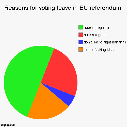 Reasons for voting leave in EU referendum | I am a f**king idiot, don't like straight bananas, hate refugees, hate immigrants | image tagged in funny,pie charts | made w/ Imgflip chart maker