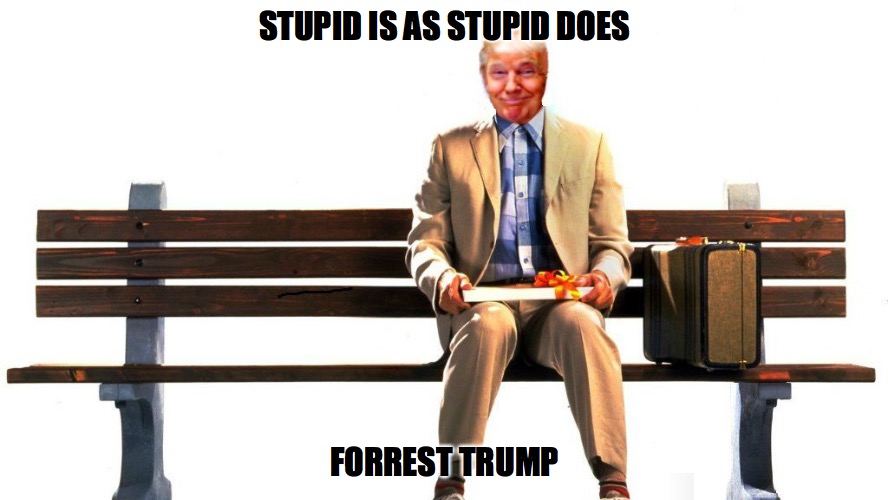 Forrest Trump | STUPID IS AS STUPID DOES; FORREST TRUMP | image tagged in donald trump,forrest gump,stupid,special kind of stupid | made w/ Imgflip meme maker