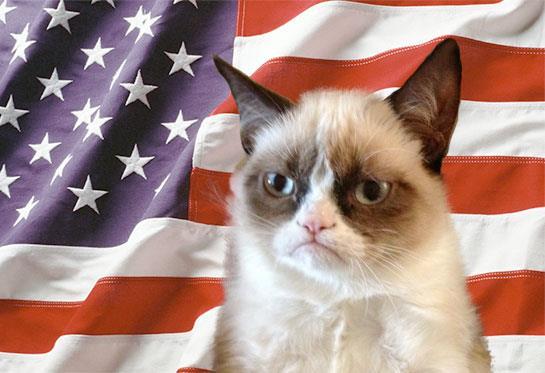 grumpy cat america Blank Meme Template