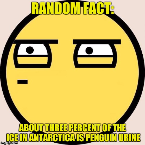 Random, Useless Fact of the Day | RANDOM FACT:; ABOUT THREE PERCENT OF THE ICE IN ANTARCTICA IS PENGUIN URINE | image tagged in memes,random useless fact of the day | made w/ Imgflip meme maker