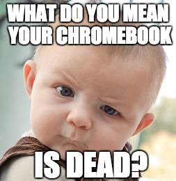 Skeptical Baby | WHAT DO YOU MEAN YOUR CHROMEBOOK; IS DEAD? | image tagged in memes,skeptical baby | made w/ Imgflip meme maker