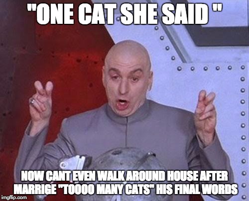 Dr Evil Laser Meme | "ONE CAT SHE SAID "; NOW CANT EVEN WALK AROUND HOUSE AFTER MARRIGE "TOOOO MANY CATS" HIS FINAL WORDS | image tagged in memes,dr evil laser | made w/ Imgflip meme maker