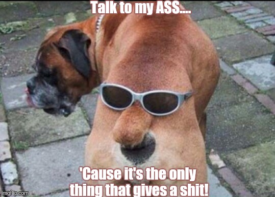 Talk to my ASS.... 'Cause it's the only thing that gives a shit! | image tagged in talk to the ass | made w/ Imgflip meme maker