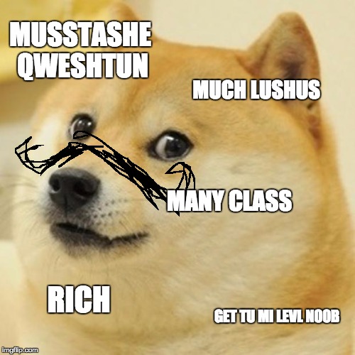 Doge | MUSSTASHE QWESHTUN; MUCH LUSHUS; MANY CLASS; RICH; GET TU MI LEVL N00B | image tagged in memes,doge | made w/ Imgflip meme maker