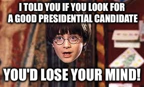 Harry Potter | I TOLD YOU IF YOU LOOK FOR A GOOD PRESIDENTIAL CANDIDATE; YOU'D LOSE YOUR MIND! | image tagged in harry potter | made w/ Imgflip meme maker